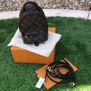 Louis Vuitton Palm Springs Mini Monogram backpack